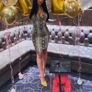 Long sleeve bodycon snake print dress